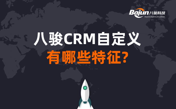 八駿CRM自定義